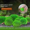 Desktop Fish Tank with Seaweed Ball, Green Algae, and Water Grass for Indoor Micro-Landscaping Decor