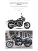 Retro Rear Backrest & Anti-Fall Guard for Qianjiang Flash 300S Motorcycle