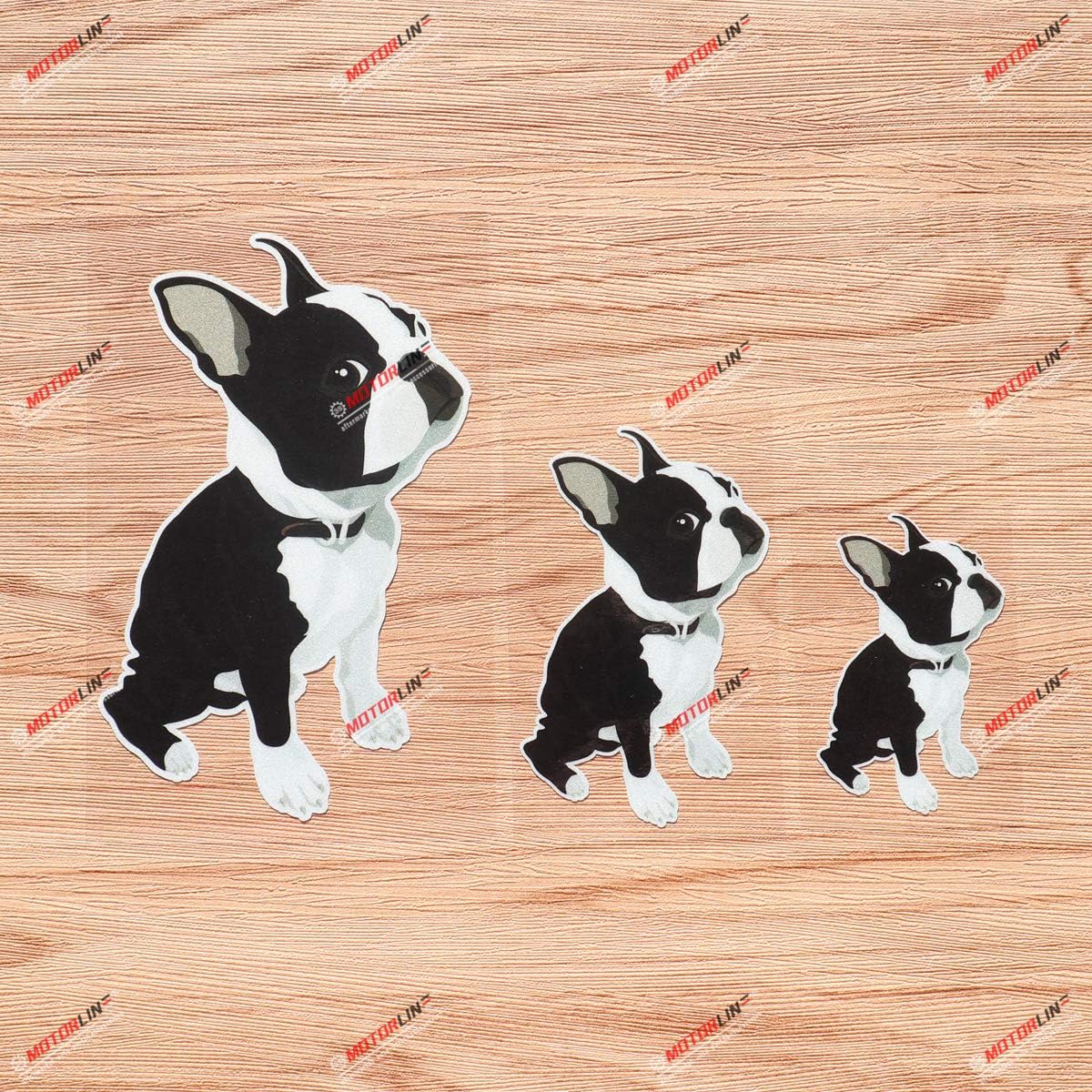 

Boston Terrier Dog Puppy Vinyl Decal Sticker Sitting - 3 Pack Reflective, 3 Inches, 4 Inches, 6 Inches - for Car Boat Laptop Cup Phone 09040