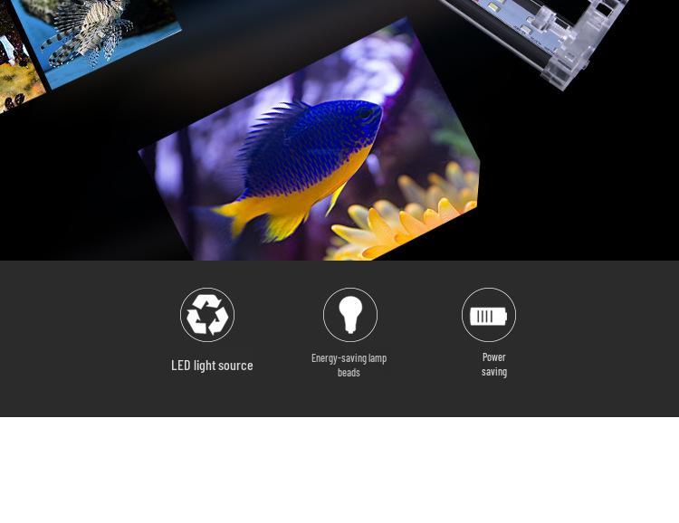 Aquarium LED Clip Light for Fish, Turtle, or Plant Tanks