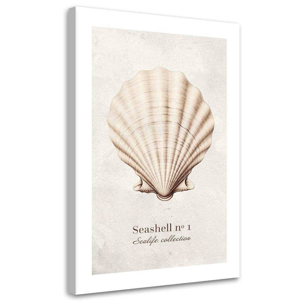 Canvas Print, Natural Shell