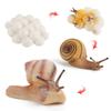 Realistic Kids Toys Praying Mantis Toy Cycle Mantis Figurine Life Cycle Figures Snail Growth Cycle