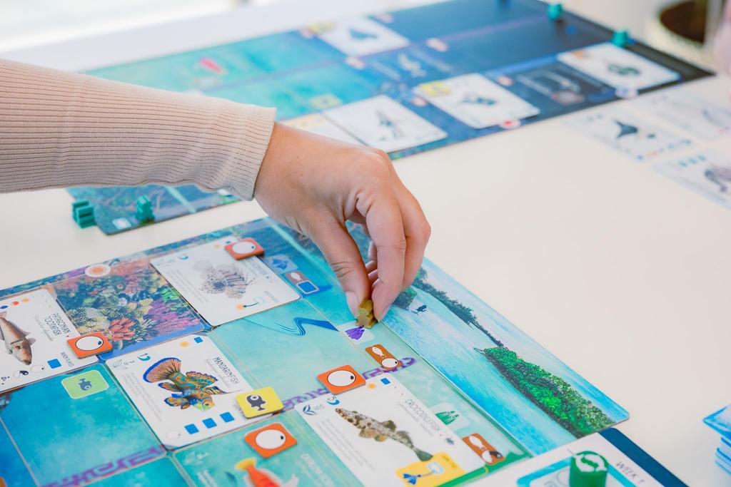 Finspan A Wingspan Game - [Board Game, 1-5 Players]