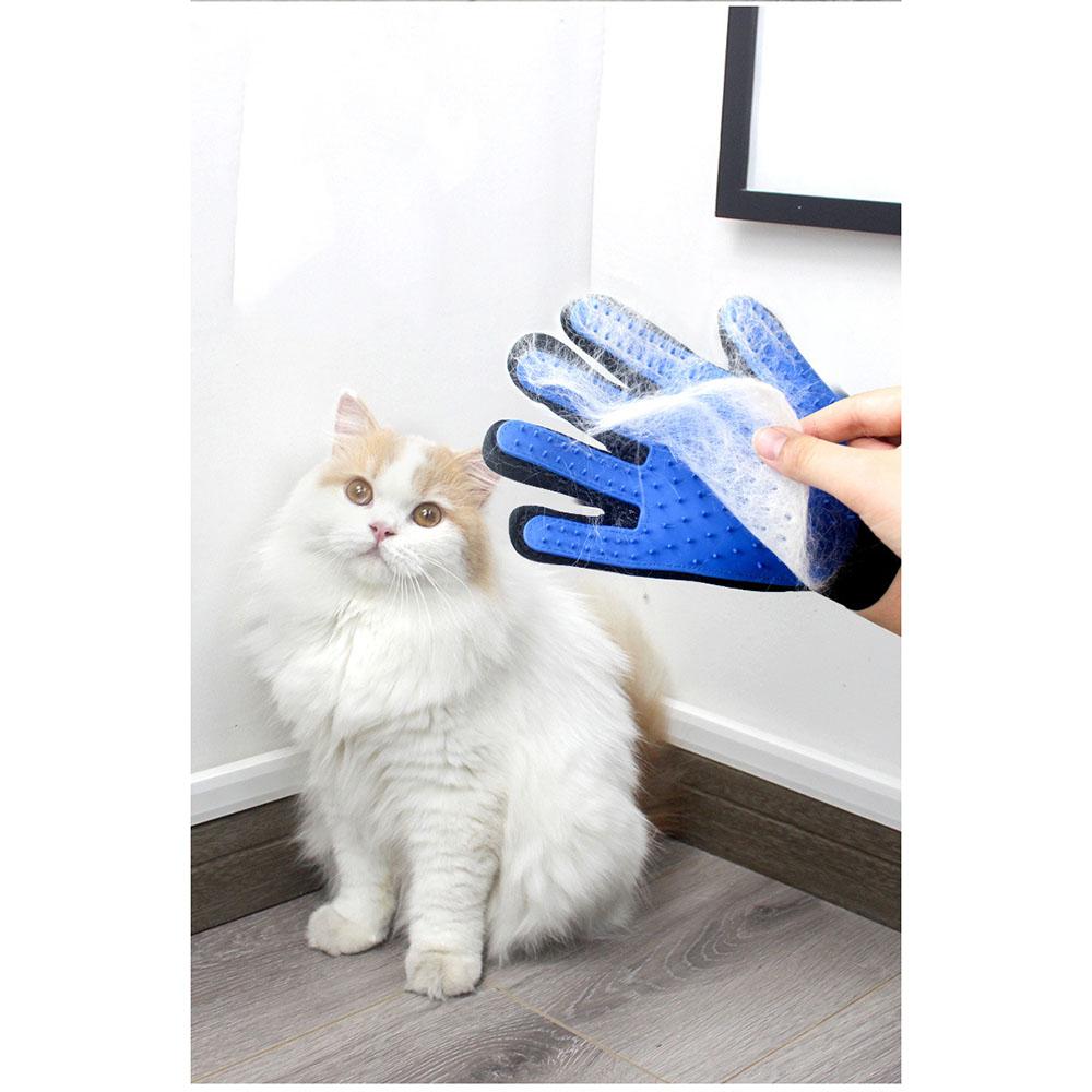 cat mitten brush