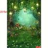 2D Fairy Forest Backdrop Lantern Mushroom Photo Studio Background