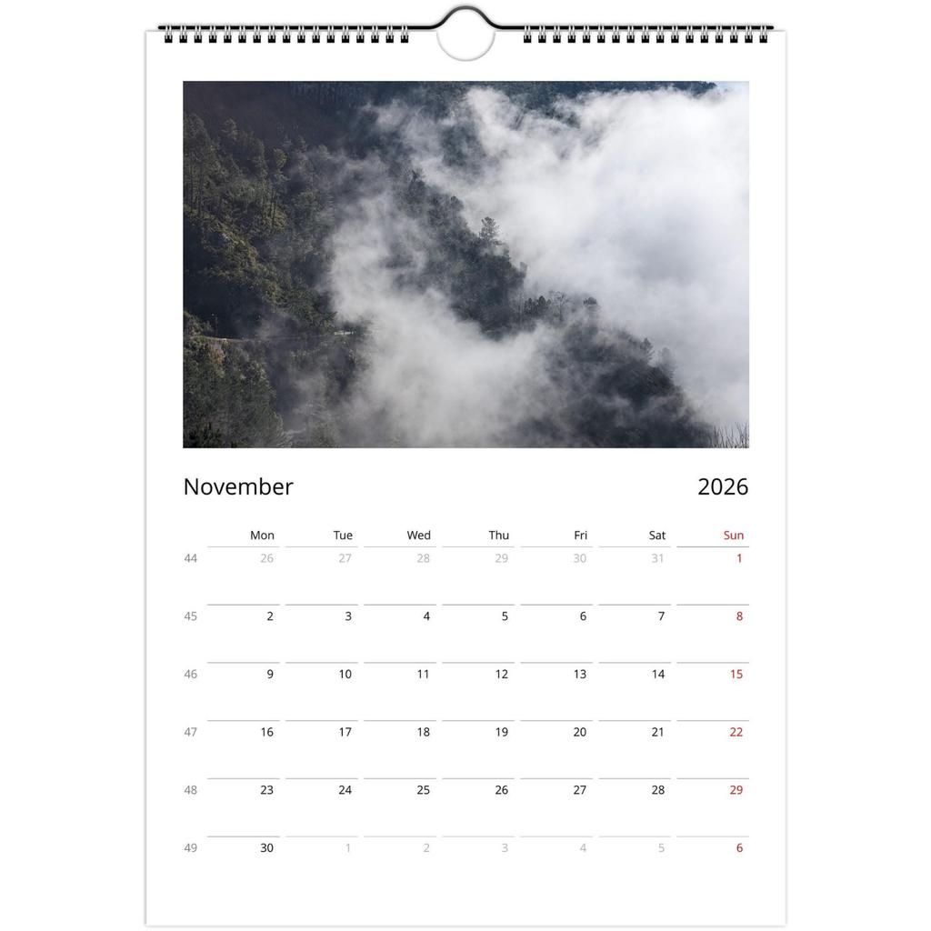 Väggkalender 2026, Kalender med roligt tema, Rolig chattgåva, Perfekt val för hemmabruk.