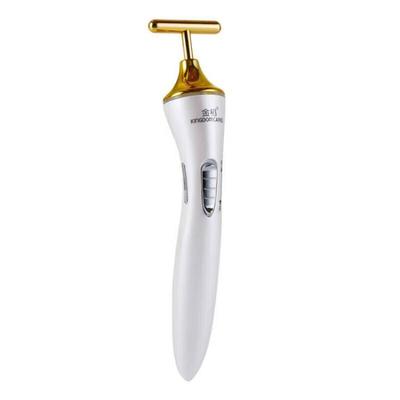Jindao Electric Microcurrent Facial Massager CN Plug (adapter Included)
