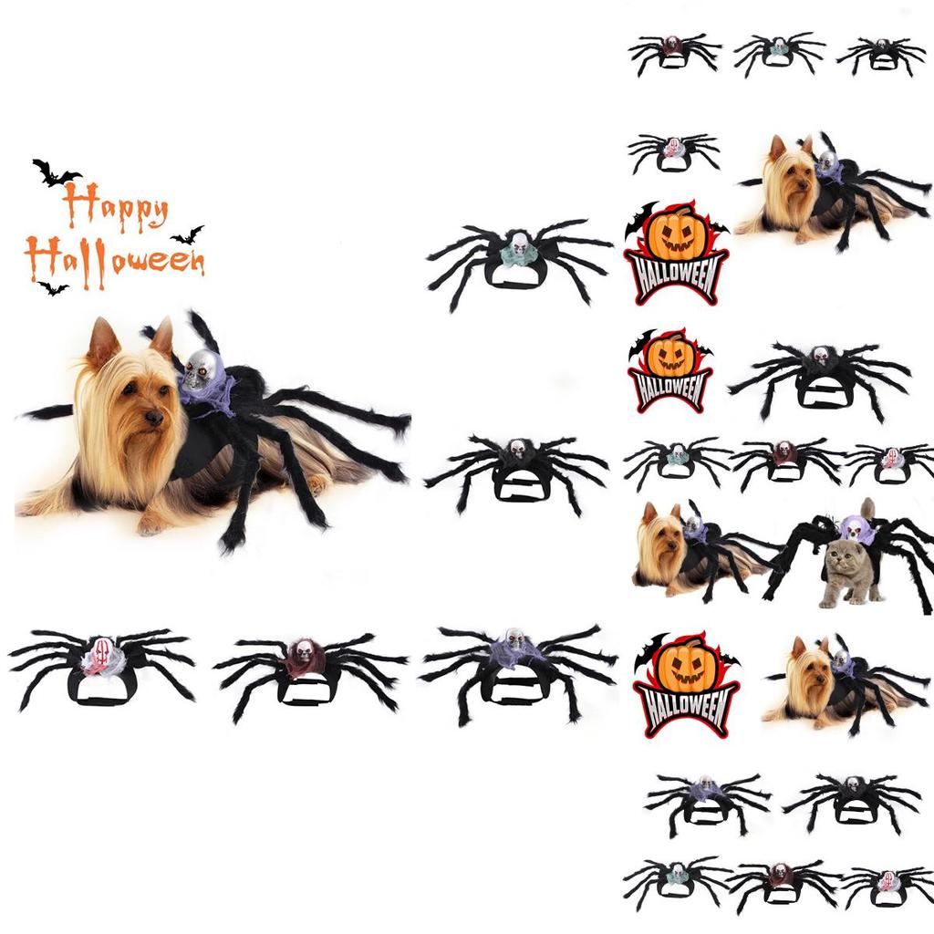 Cute Pet Spider Costume For Halloween Party