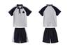 Liaoning Shenyang Primary School Summer Uniform Set for Students - Multi-piece, All-Season Wear