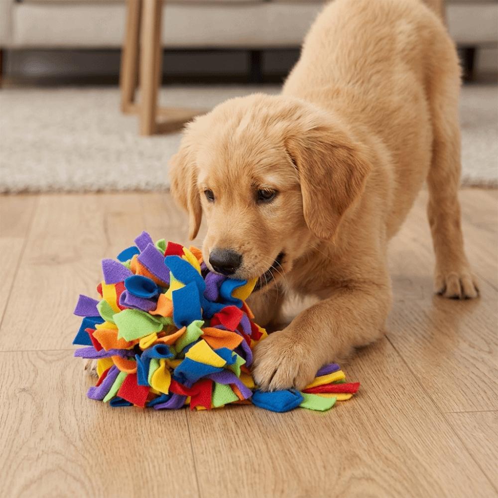 Round Shape Food Hiding Toy Rainbow Color Pet Chew Ball Washable Dog Enrichment Toy Brain Training