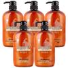 Dieyin Japan Imported Horse Oil Nourishing Conditioner 5-Pack