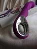 Langchao Rechargeable 10-Frequency Vibrator - Strong Shock, Water-Resistant, Intimate Adult Toy for Women