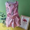 Spring/Summer Pet Clothing Pet Skirt Dog Clothing Dog Skirt Cute Princess Pet Skirt Cat Skirt