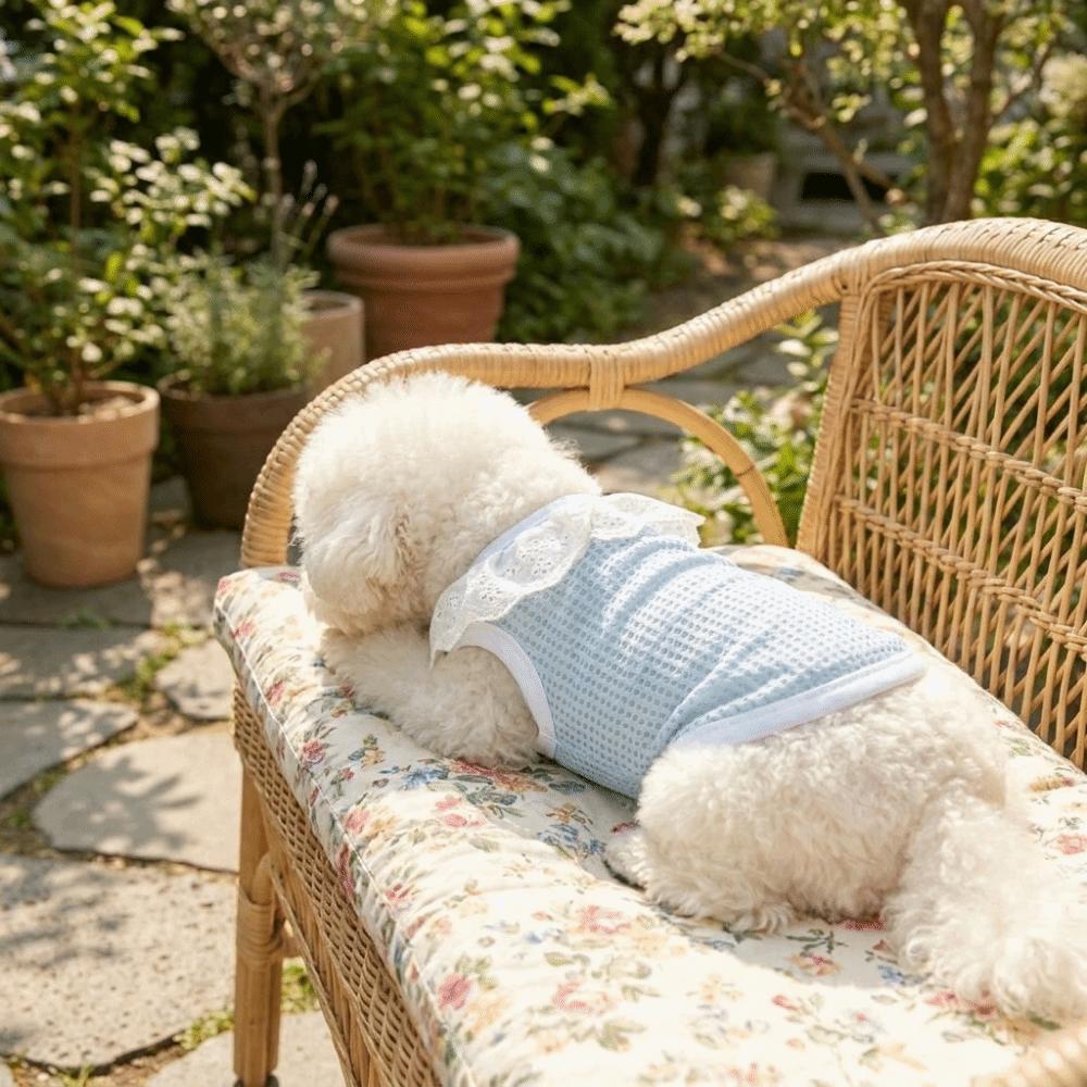 Thin Breathable Mesh Dog Vest Round Neck Dog Cooling Vest Cooling Pet Vest  Photography