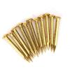Brass Nails, 100 Pieces Round Head Gold Nails, Brass Wall Pins 10mm 15mm 18mm 22mm, Furniture Brass Tacks for Wood, for Hanging Picture Frame Mirror,