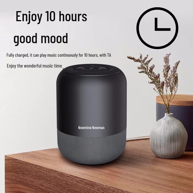 Newsmy BT51 Mini Portable Bluetooth Speaker CN plug (adapter included)