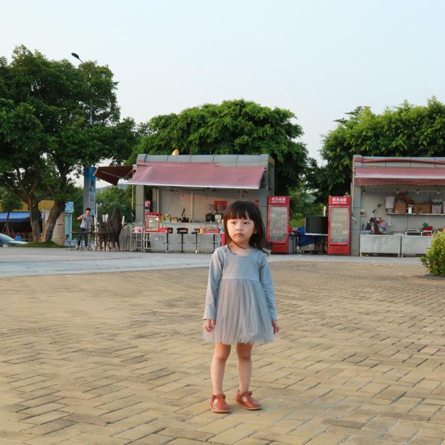 New Spring/Autumn Long Sleeve Cotton Princess Dress for Girls with Mesh and Puffy Design