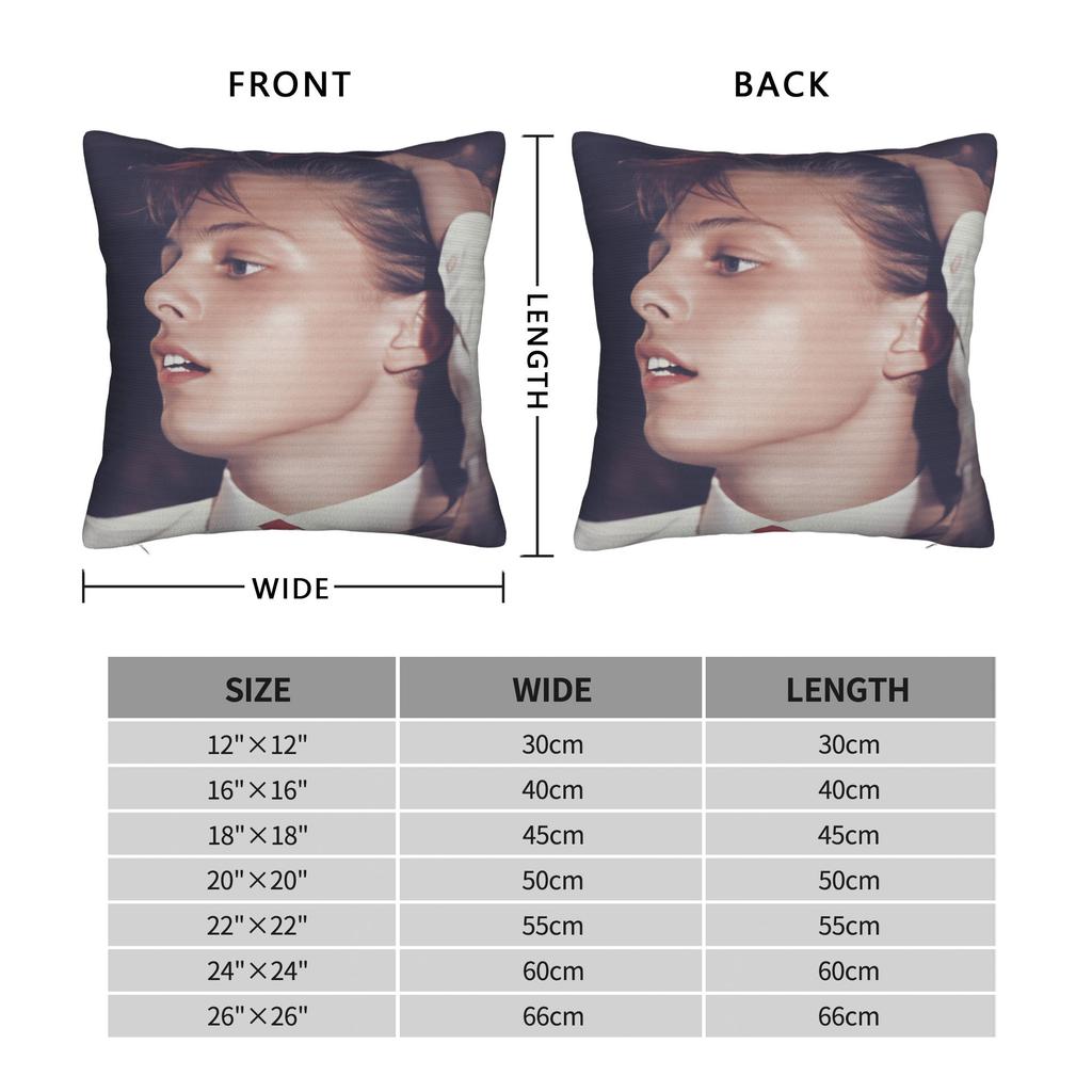 Federa Cuscino Singer L-Luis M-Miguel Federa Cuscino Retrò Trendy Per Divano Soggiorno Morbida Federa Cuscino Regalo