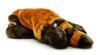 AQUA Safari Lesser Plush Size 00300048 Toy, 14, Medium,