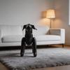 Display-freundliches Hunde-Modell Aufblasbare stehende Schaufensterpuppe aus PVC zum Präsentieren von Haustier-Outfits in Hundesalons und Geschäften