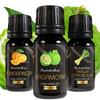 Citrus Power Essential Oil Set - Bergamot, Orange, Lemongrass