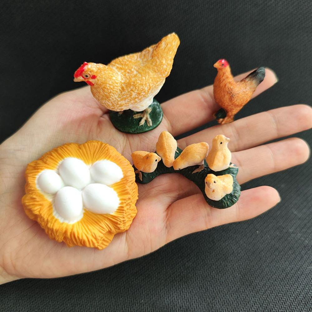 Cycle Figurine Animal Life Cycle Children Toys Simulation Plant Model Animal Growth Cycle Model