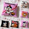 Brand SSamyang Buldak RamenS Cushion Cover Premium Comfort Reversible Pillow Cove -Two In One Design for Any Room & Car Interior