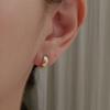 Primaute Round Earring