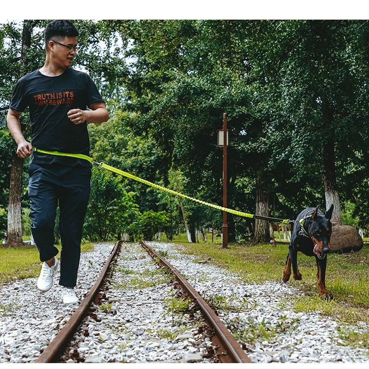 New Pet Leash Running Leash Retractable Dog Walking Leash Dog Walking Pet Supplies