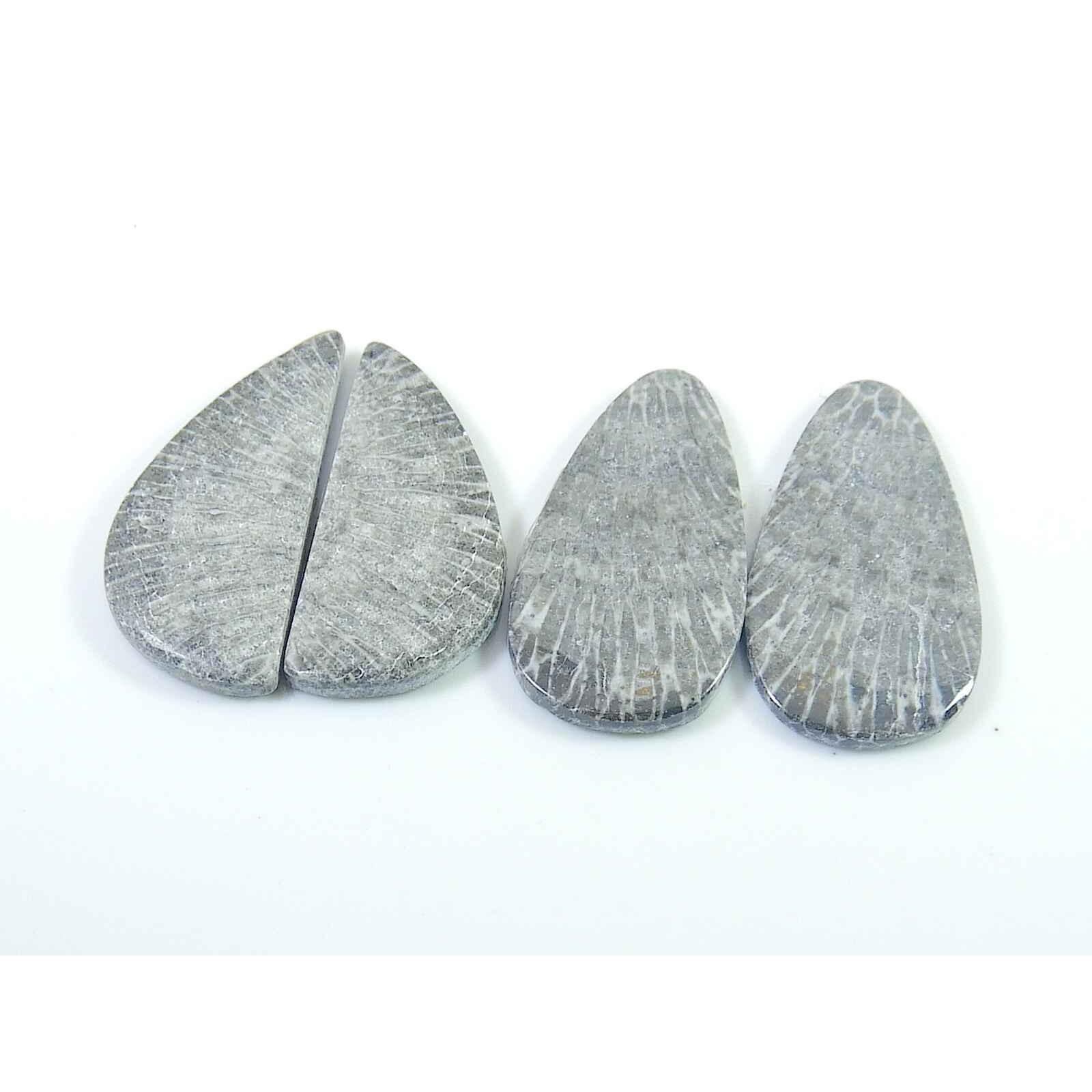 

31-31mm Fossil Coral Match Pair fancy Shape cabochon loose Gemstone 2Pcs Lot SK-3010
