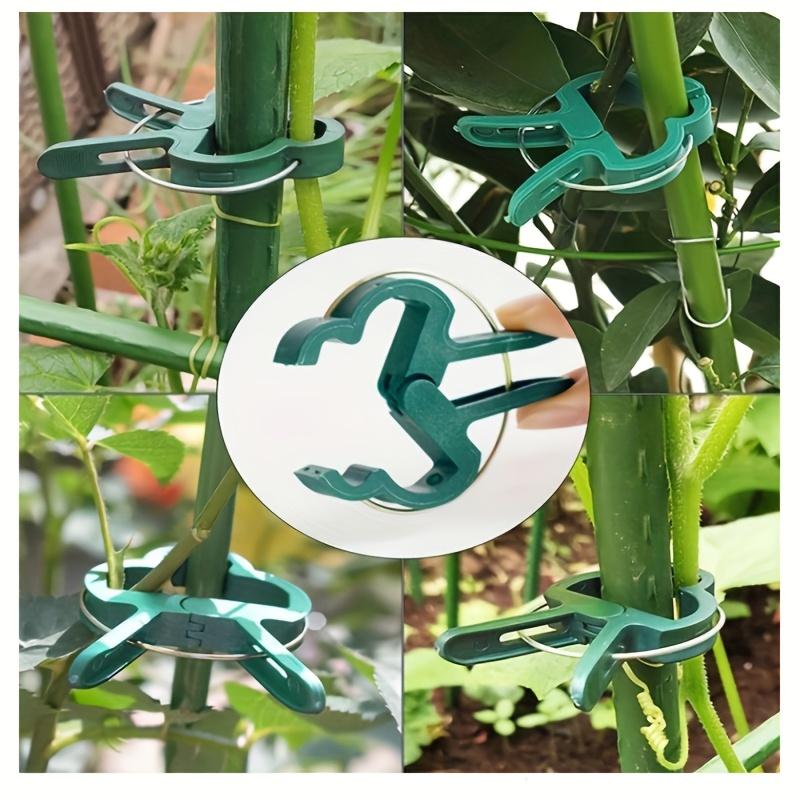 Heavy Duty Plant Support Frame - Space-Saving Design,Robust Clip Design for Stems&Stakes | Indoor/Outdoor Garden Arrangements
