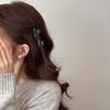 Fall/Winter Retro Checkered Small Size Hairpin with Fringe for Princess Hair Clips Headwear