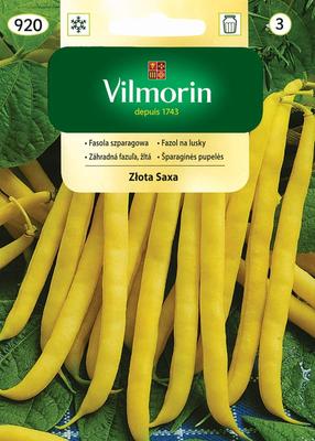 Green Beans Złota Saxa 30g -