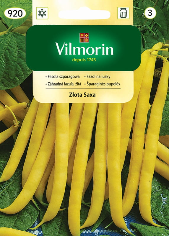 Fasola Szparagowa Złota Saxa 30g - VILMORIN