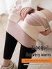 Women's High-Waisted Fleece-Lined Shark Pants: Autumn/Winter 2025, Thick, Warm, Slimming, Skin-Tight Fit.