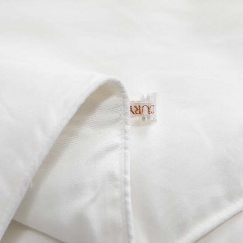 Mercury Home Textiles Mulberry Silk All-Season Quilt