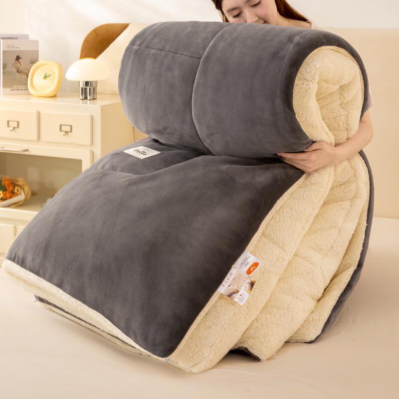 

LISM Thickened Lambswool Milk Velvet Winter Quilt