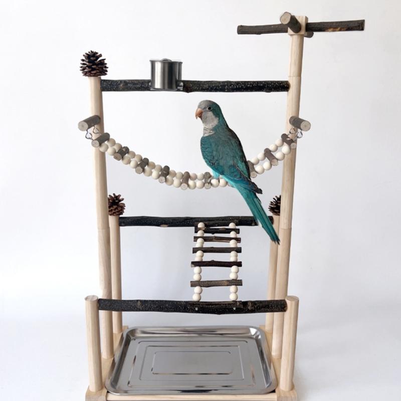 Interactive Large Bird Gym Natural Wood Construction Grinding Scratchers Mental Stimulation Activity Stand