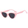 JYL TS Cat Eye Sunglasses UV Protection Fashion For Street Shooting NH1301