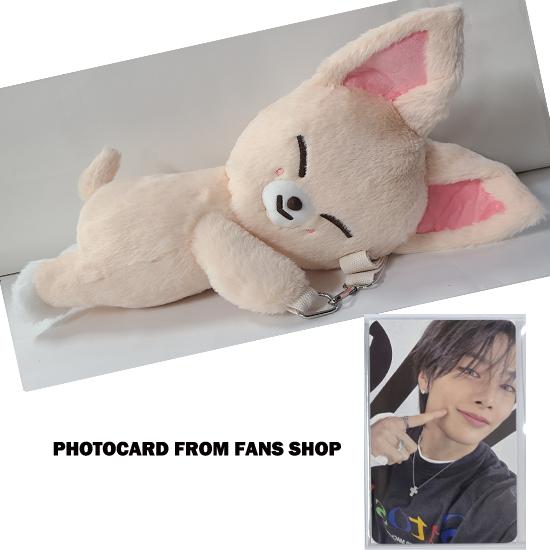 Stray Kids SKZOO Plüschtasche celebrATE ( mit POB von FANS)