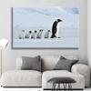 Modern Penguin Canvas Painting Wall Art Antarctic Creatures Animal Posters and Prints Wall Pictures for Living Room Decoration