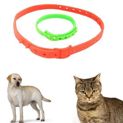 Collare per cani e gatti per respingere pulci/zanzare/zecche
