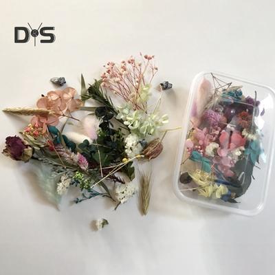 1 krabice konzervovaná sušená rostlina DIY svíčka Výroba šperků Craft Decor