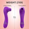 Vibrator Sucking Female Masturbator FairyKiss Vagina and Clitoral Dual Stimulator G-Spot Handheld Clitoral Massager 2 In 1 Adult Sex Toy Red Purple