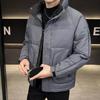 Winter Stand Up Collar Down Jacket for Men, Short, Thick, Youth Warm, White Duck Down Casual Couple Jacket