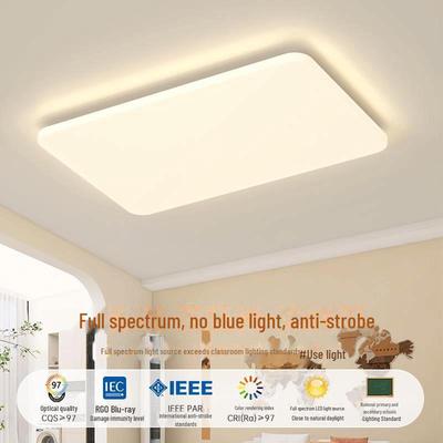 "Ultra-Thin Minimalist Ceiling Light for Living Room, Bedroom & Hall - High Brightness, Smart Eye Protection"