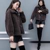 Fur All-in-one Coat for Women Autumn and Winter Lamb Fleece Coat Korean Style Loose Coat