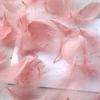 50Pcs Macaron Color Small Feather Small Goose Feather Wedding Festival Event Stage Decoration Gift Box Filling Material