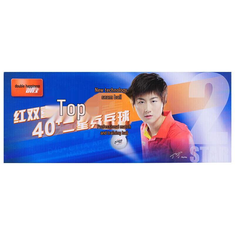 DHS 2-Star Table Tennis Balls (100-count)