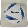 Ziwu Gan 32-Panel Thermal-Bonded Training Football